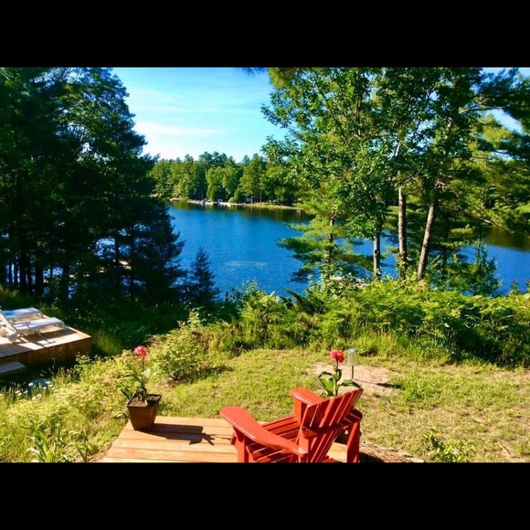 Meet your Posher, Kim - Picture 1 of 1